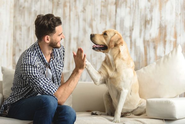 Hundefutter O'Canis